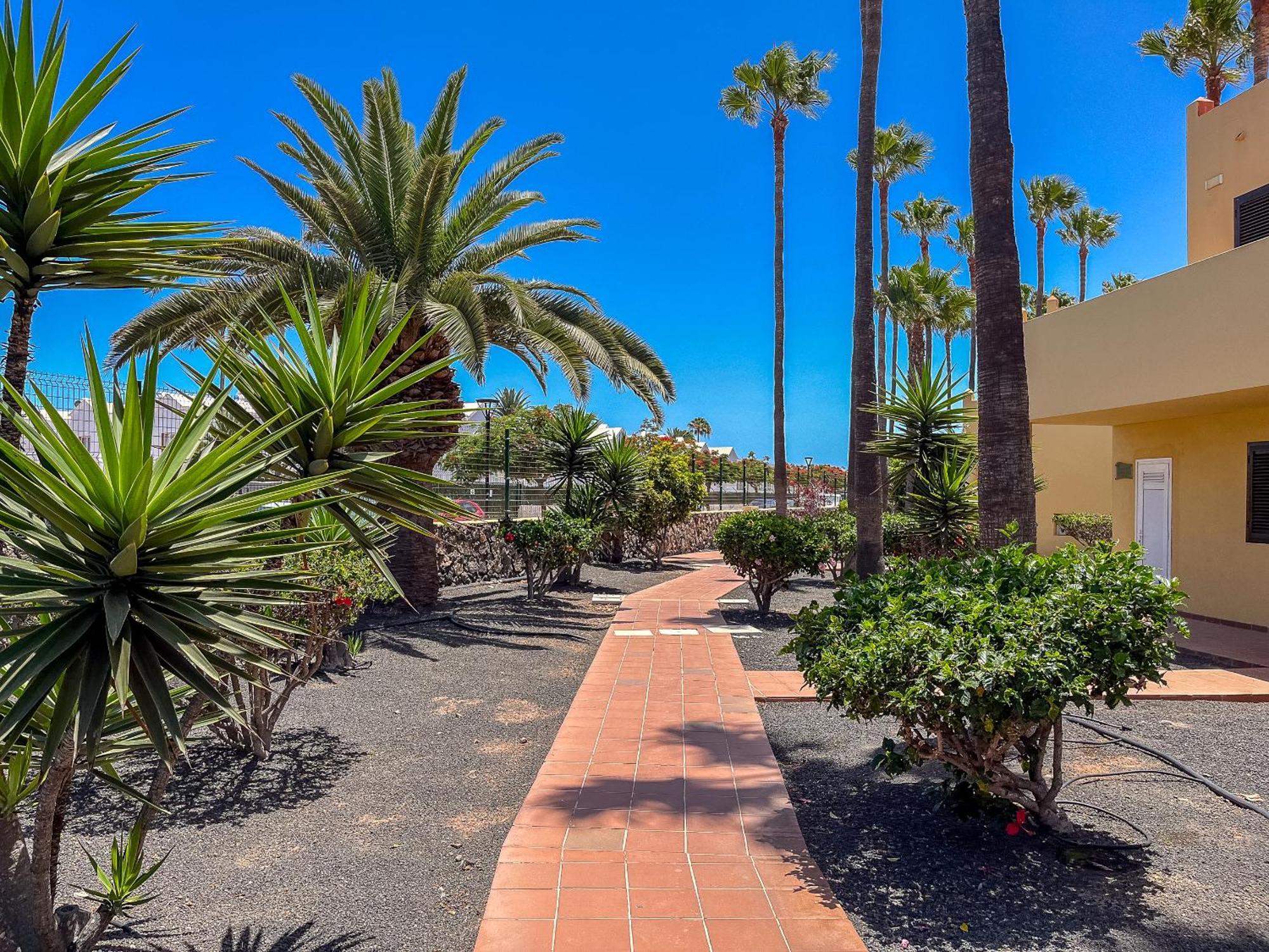 Apartamentos Oasis Royal Corralejo F314 Exterior photo