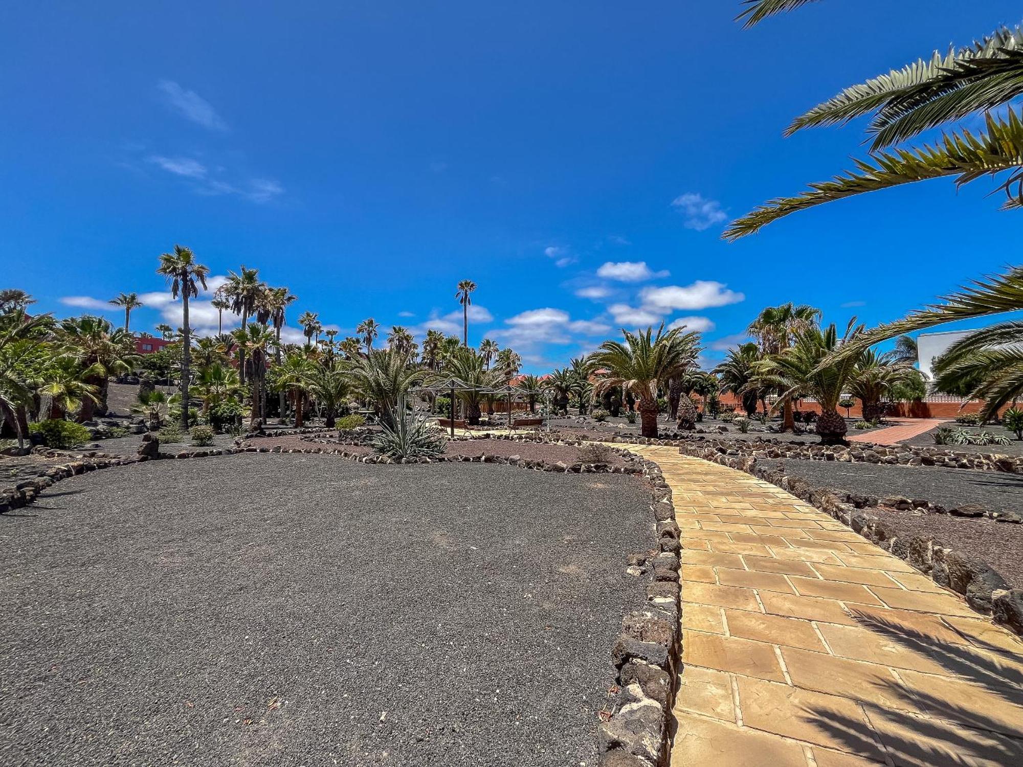 Apartamentos Oasis Royal Corralejo F314 Exterior photo